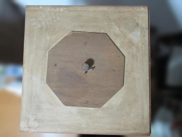 【天然】スズメバチの巣の標本（特注ガラスケース入り）採取地：日本国内