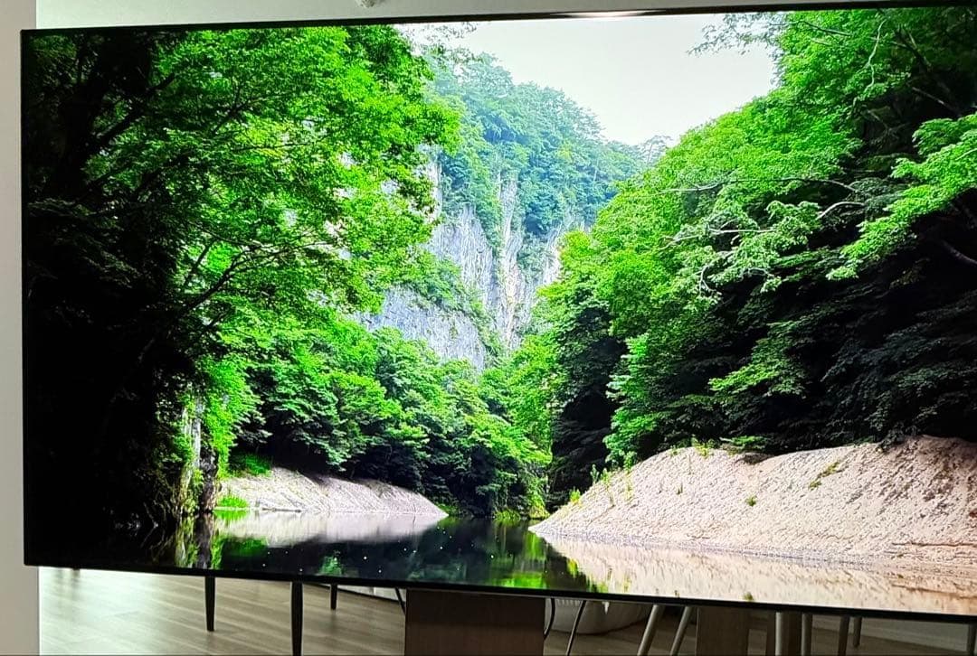 【OLED】有機EL 65インチ OLED65CXPJA