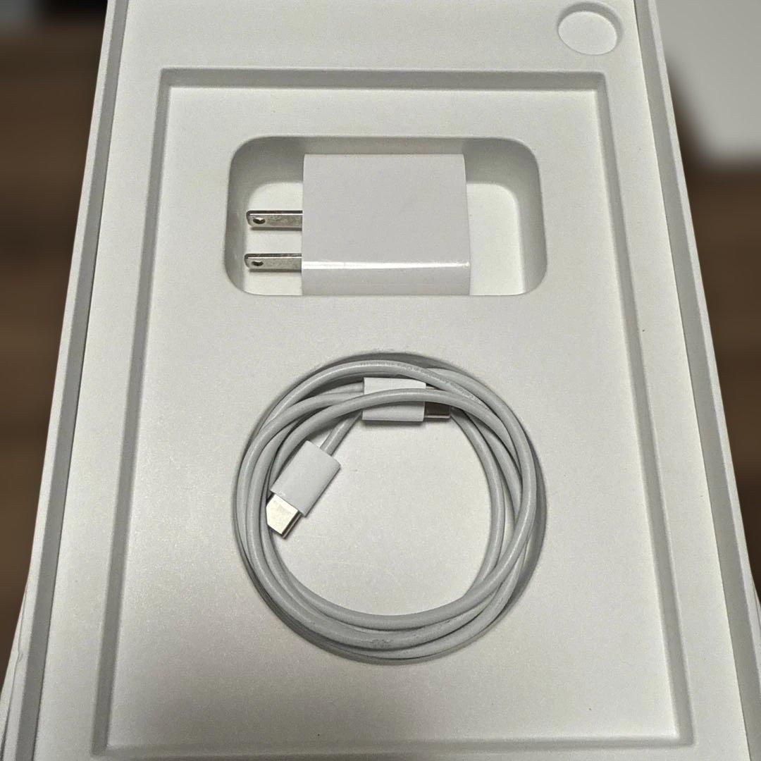 YAMI Apple iPad mini Purple本体