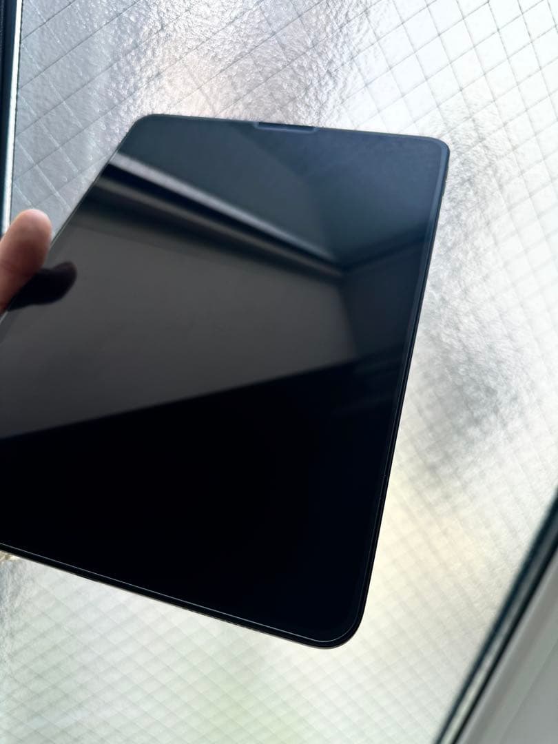 iPad Pro 256GB スペースグレイ第二世代+アップルペン　ケース付