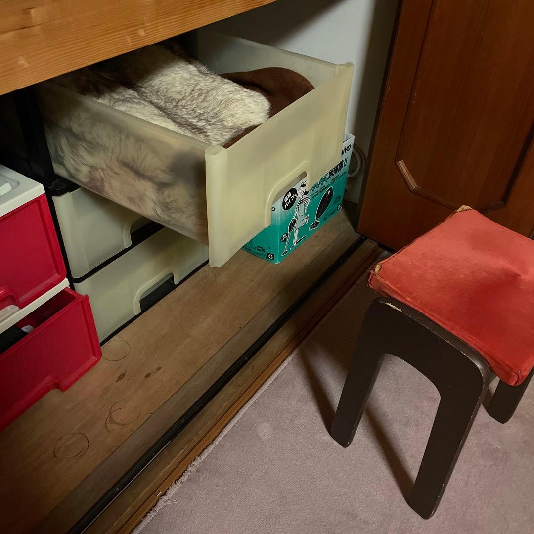 座布団　マット ラグ 毛皮　クッション　シルバーフォックス　高級　2枚セット