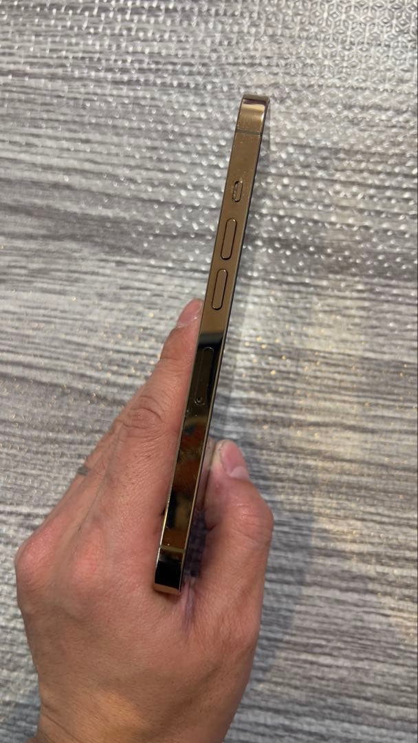 iPhone13pro本体 カメラ不良