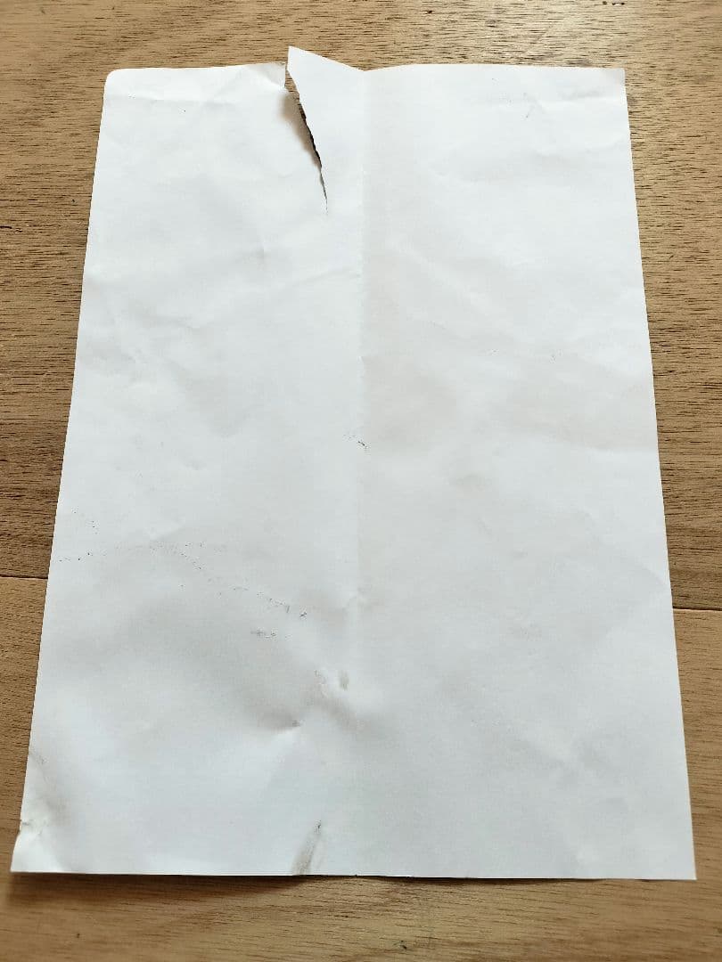 洗える！鯉のぼりセット（ベランダ設置可）　村上鯉のぼり　瑞鳳