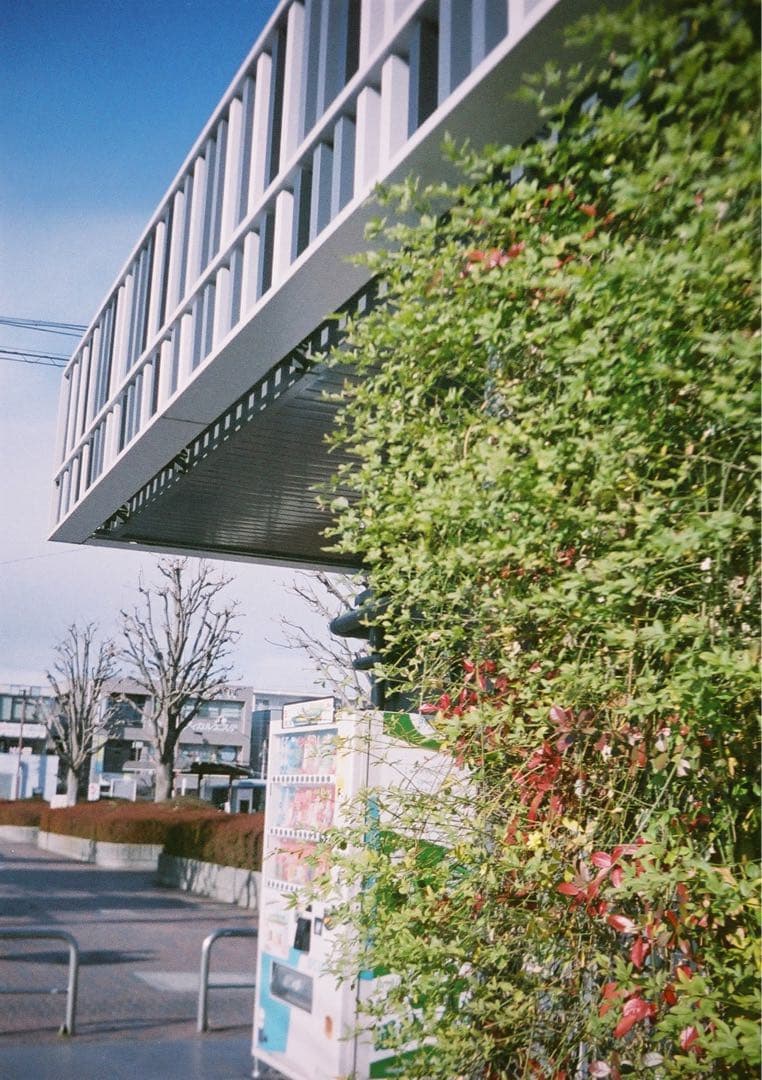 【動作確認・清掃済み＊試写あり】リコーオートハーフS