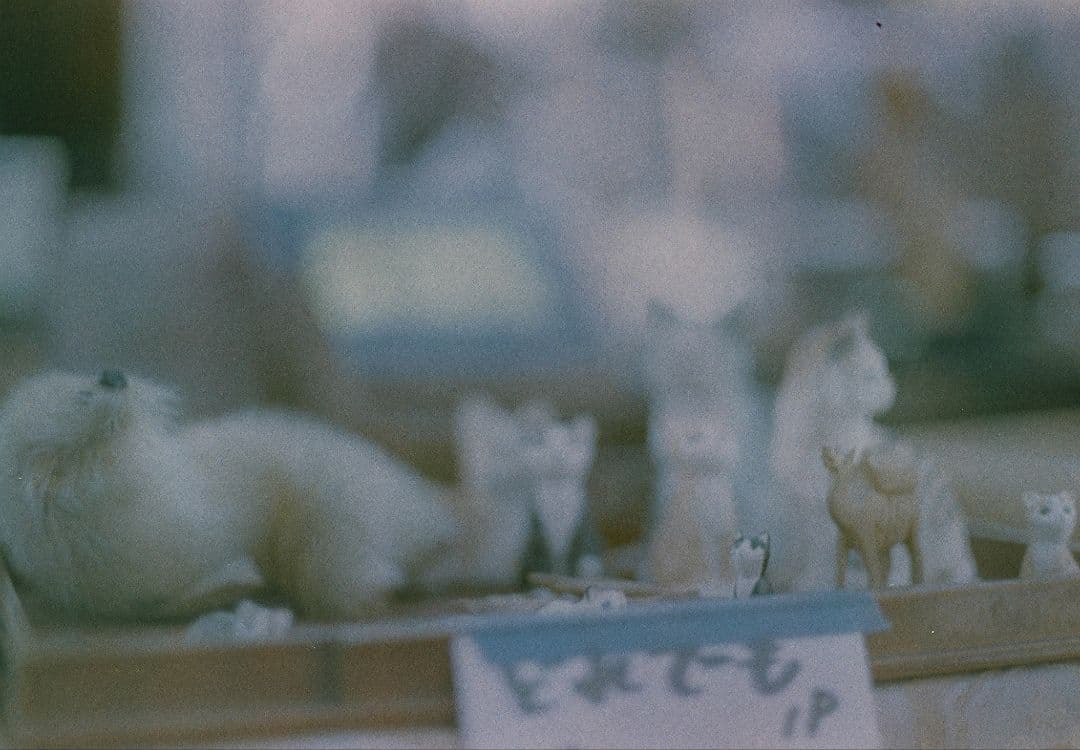 Super Takumar 50mm f1.4 8枚玉