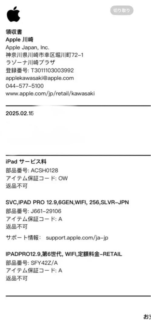 ipad pro 12.9 wifi 256gb シルバー　新品