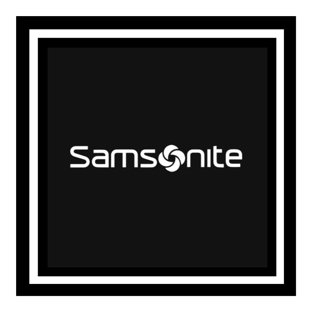 Samsonite プロデラックス 5 ベイルハンドル14.1 美品