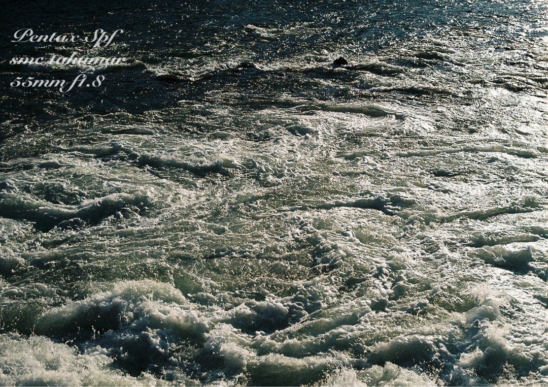 美品＊完動品＊初期保証 ★pentax spf★リザード本革ベージュ★作例必見！