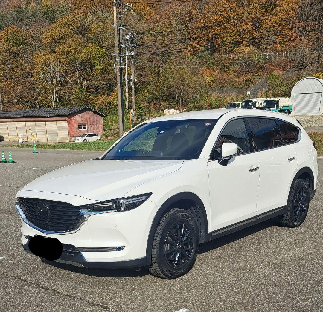 17インチ バリ山ミシュランスタッドレスタイヤ付きホイールセット