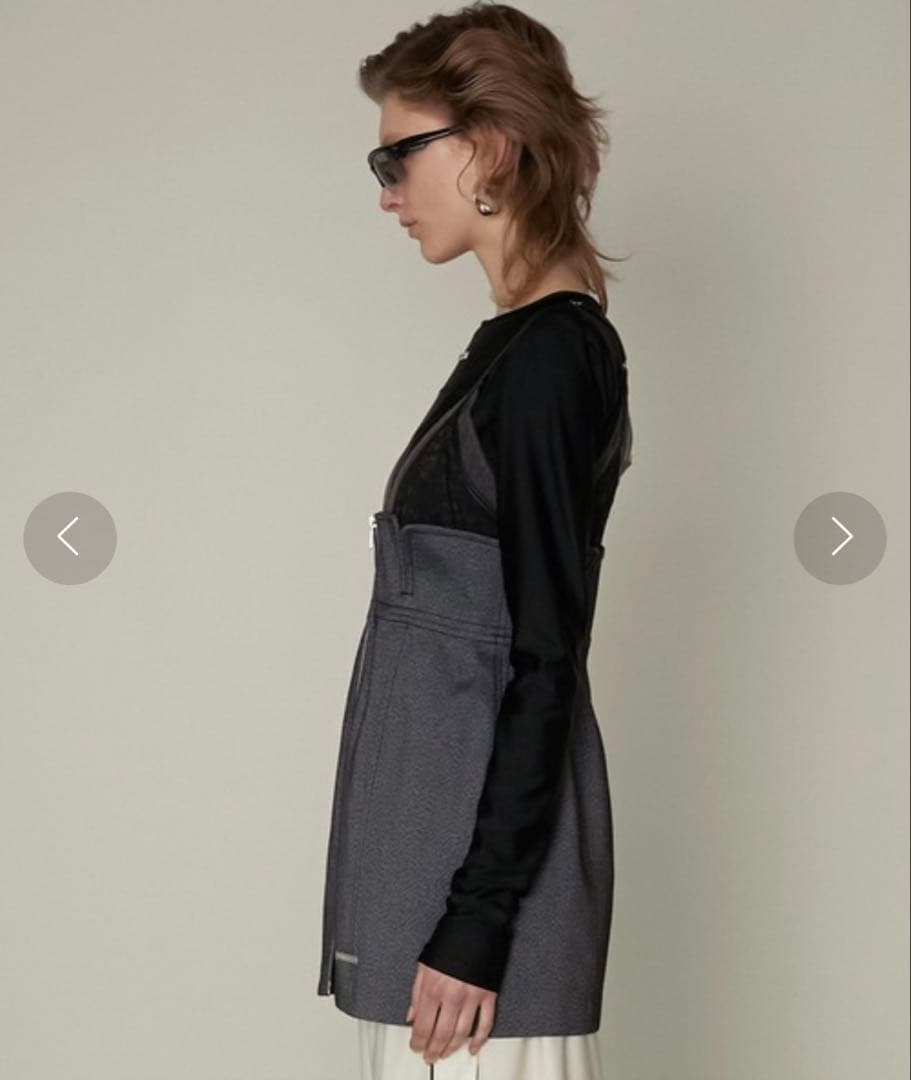 プランクプロジェクト PERVERZE LEINWANDE JUN MIKAMI