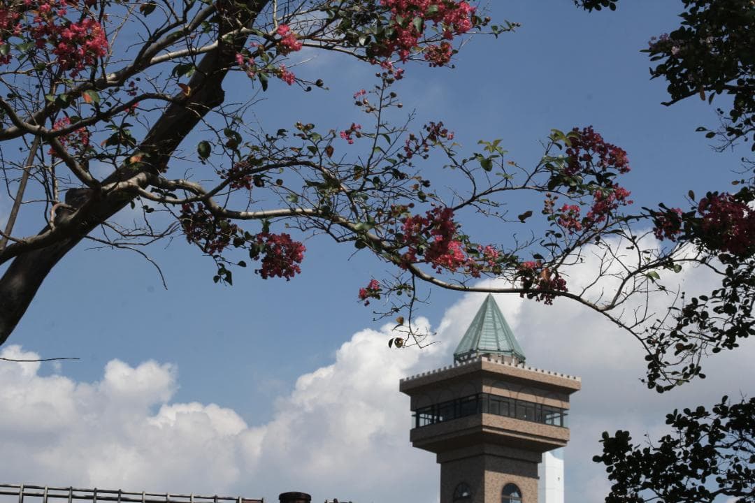 Canon EF50mm f1.4 USM 固定レンズ(ref# 4105)