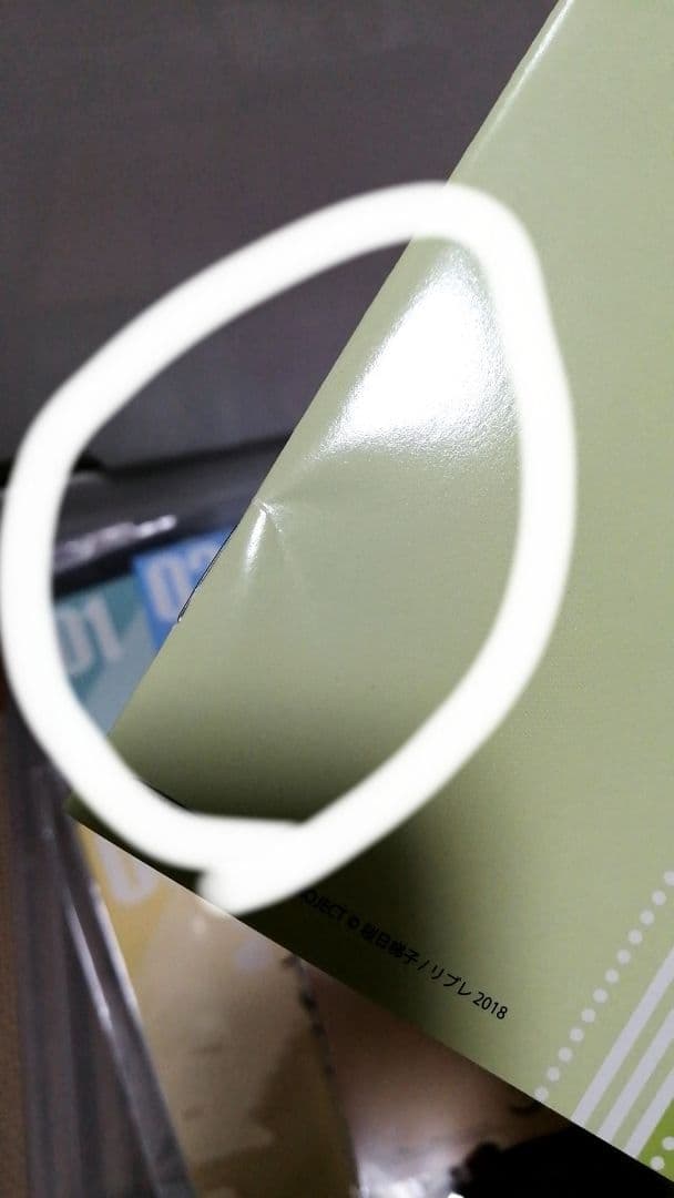 抱かれたい男一位に脅されています　だかいち　小冊子　ブックレット　リーフレット