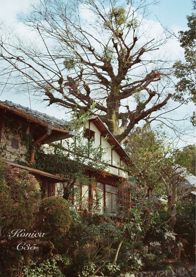 フィルム入門に★Konica C35★完動品＊美品＊初期保証＊作例必見！