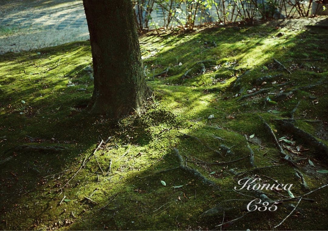 フィルム入門に★Konica C35★完動品＊美品＊初期保証＊作例必見！