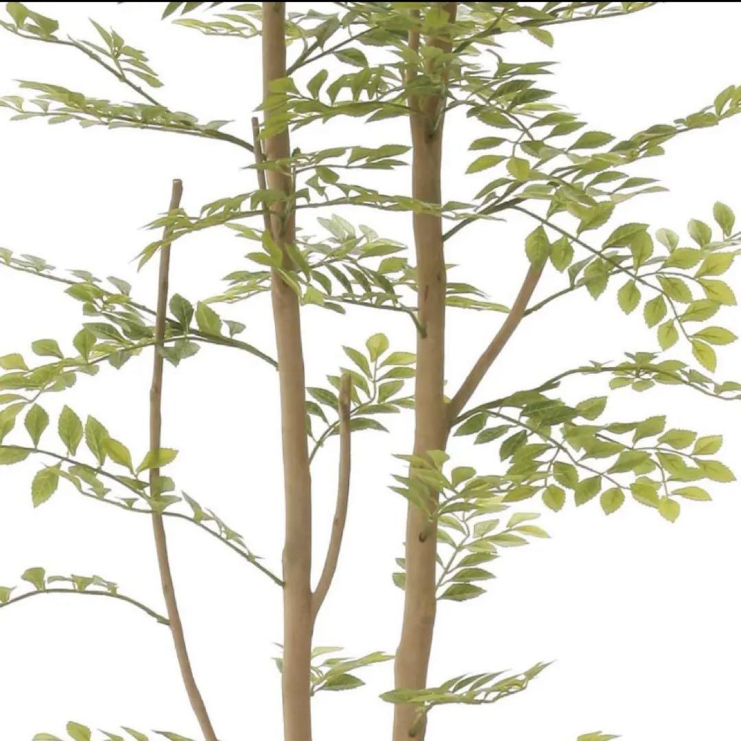 光触媒　人工観葉植物　ウォールグリーン　ゴールデンリーフ1.8h