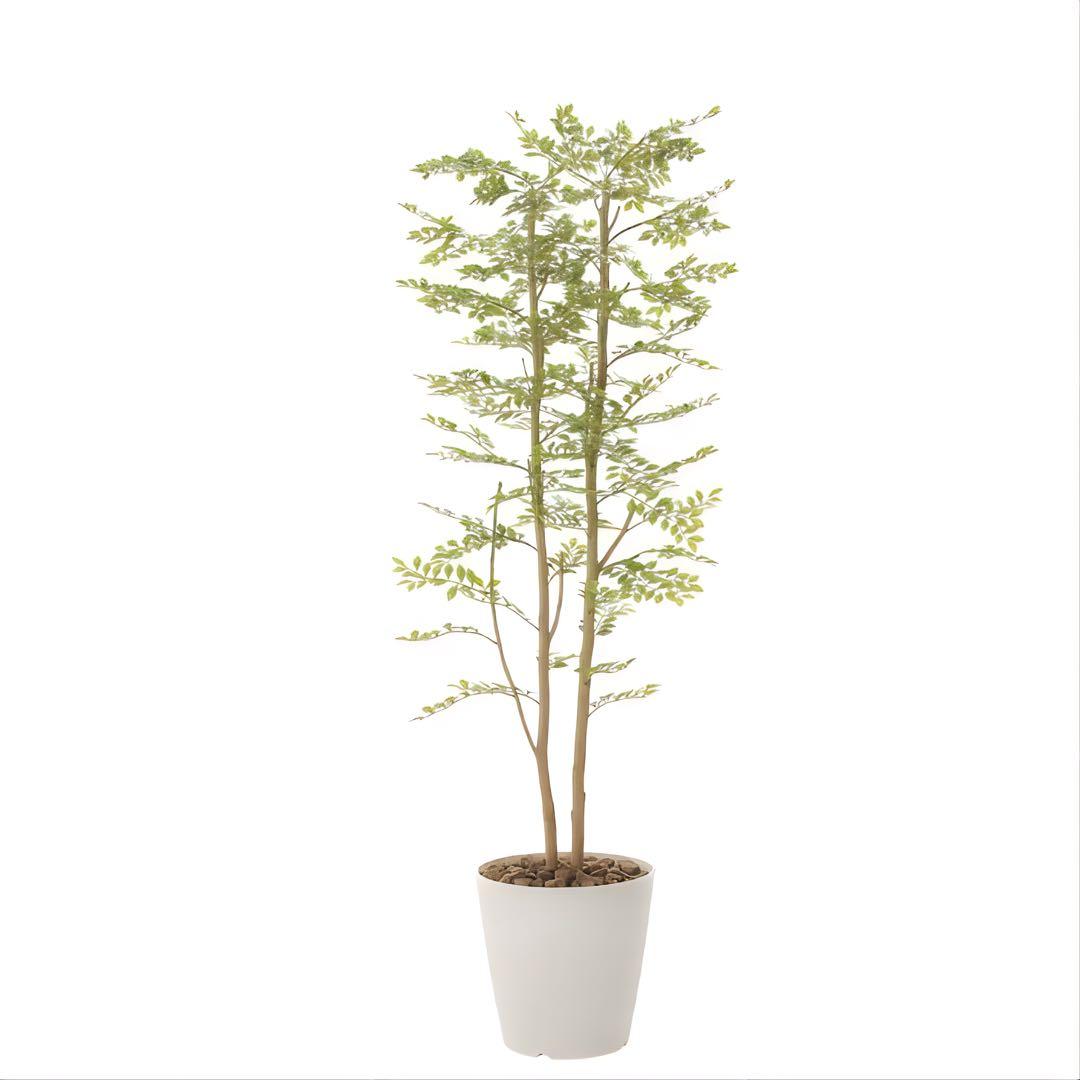光触媒　人工観葉植物　ウォールグリーン　ゴールデンリーフ1.8h