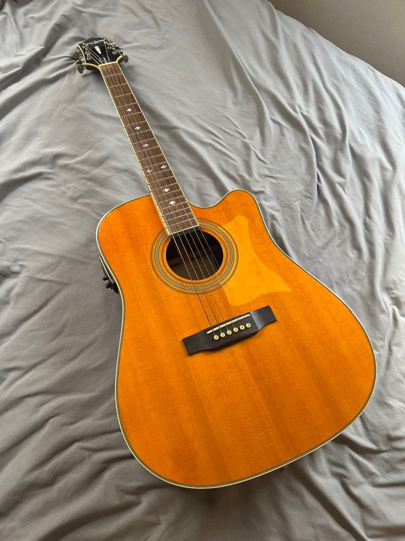 Epiphone Masterbilt DR500 MCE + ソフトケース