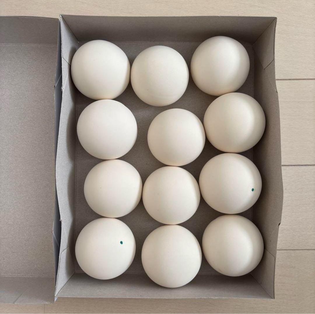 【早い者勝ち】ソフトテニス ボール 6ダース 72球