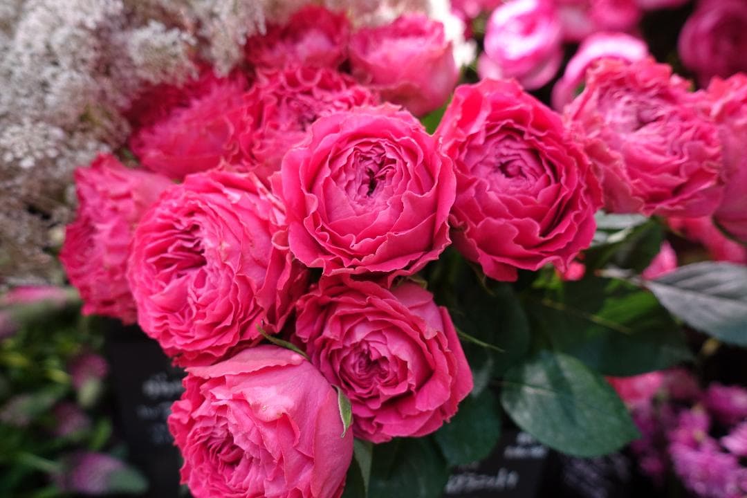 デジタルカメラ SONY Cyber-shot RX100III(DSC-RX100M3)