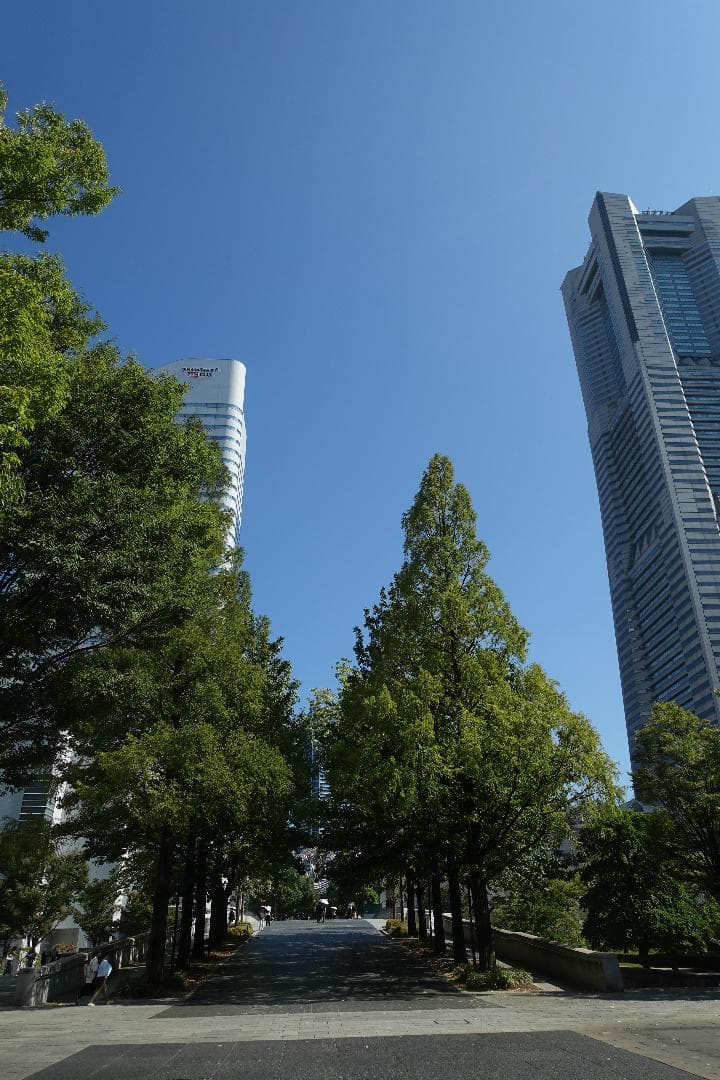 デジタルカメラ SONY Cyber-shot RX100III(DSC-RX100M3)