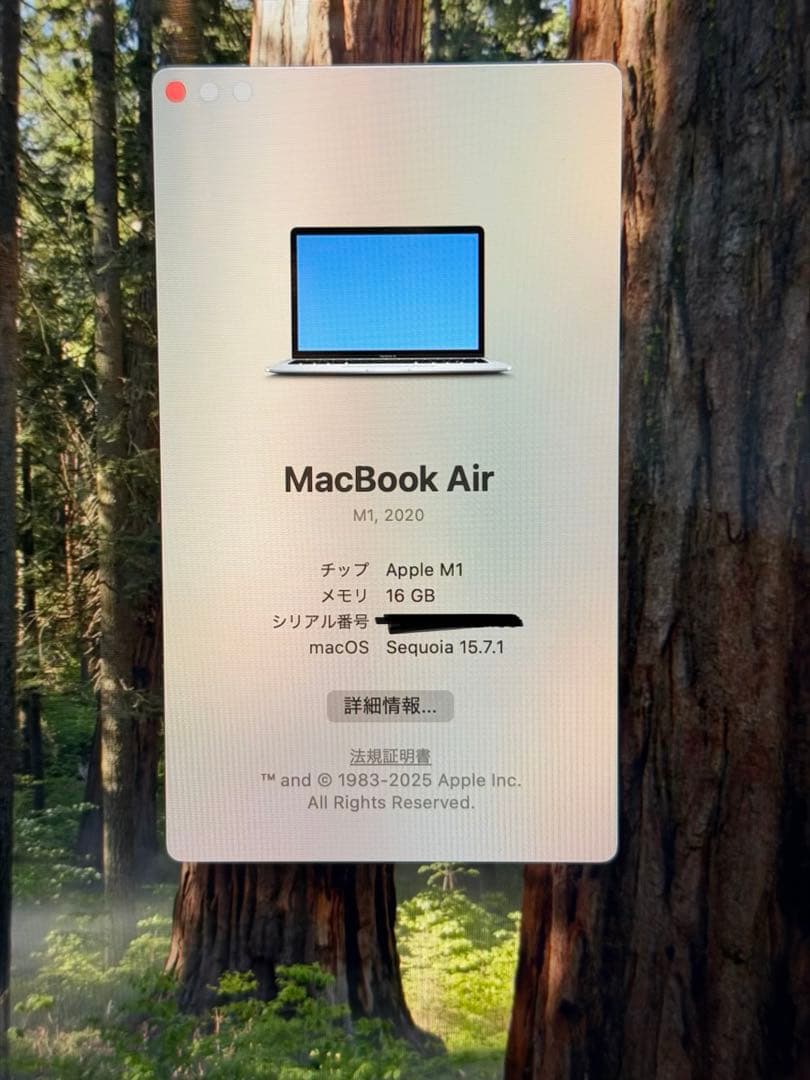 Apple MacBook Air (M1, 2020) シルバー本体 JIS