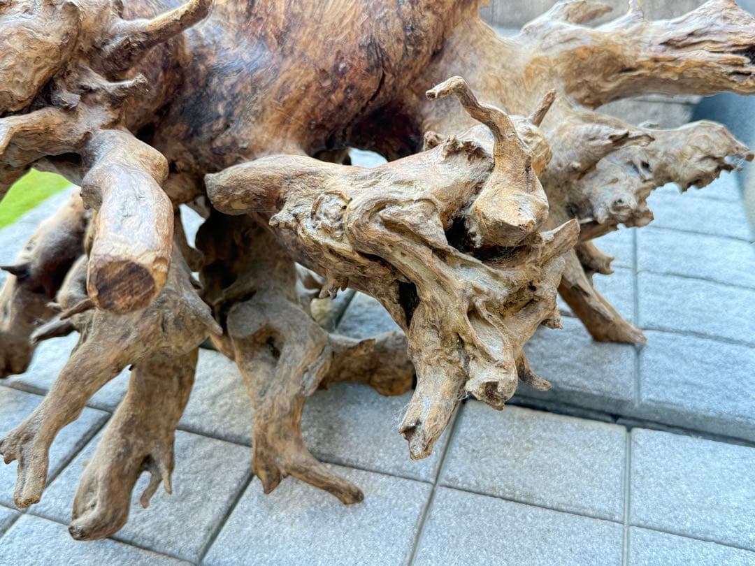 【送料込み】一点モノ★流木　置物　猪　オブジェ　ドリフトウッド　インテリア