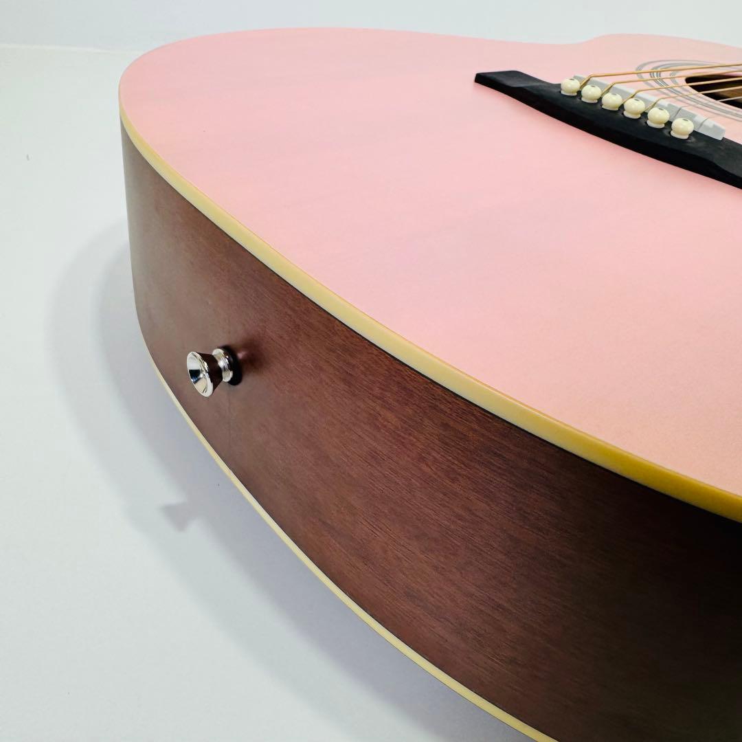 HONEY BEE アコースティックギター F-15 SKR ギター　ハニービー