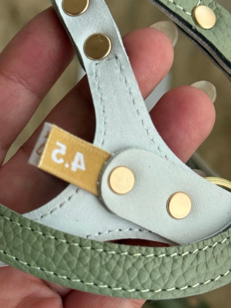 バディベルト＆リード 4.5号BUDDY BELTSセット