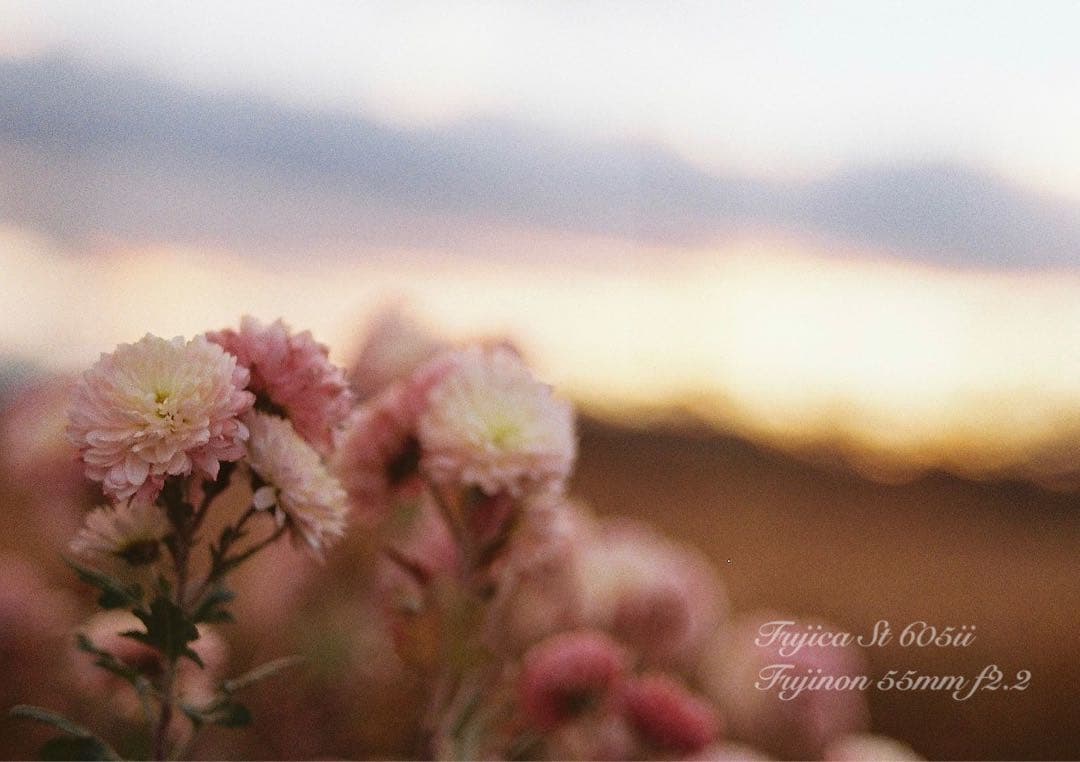★完動品＊美品＊初期保証★フジカ　st605ⅱ／フジノン55mm f2.2