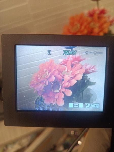 【箱付き】ソニー Sony DCR PC300