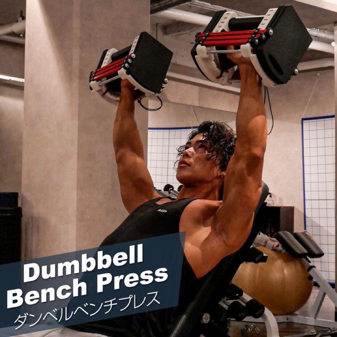 可変式ダンベル パワー ブロックダンベル 23kg 2個セット ダンベル可変式