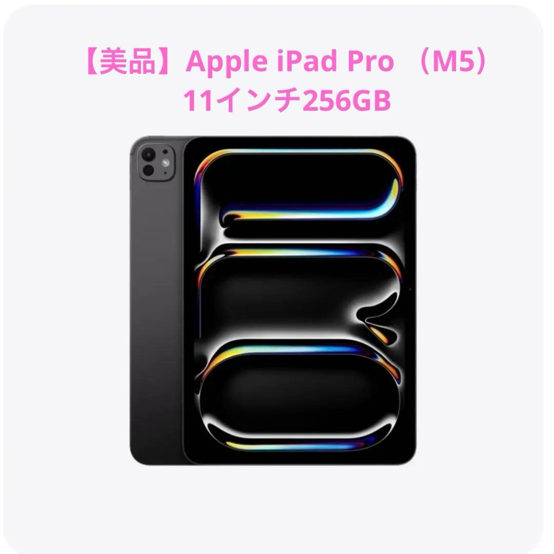 【美品】Apple iPad Pro （M5）11インチ256GB Wi-Fi