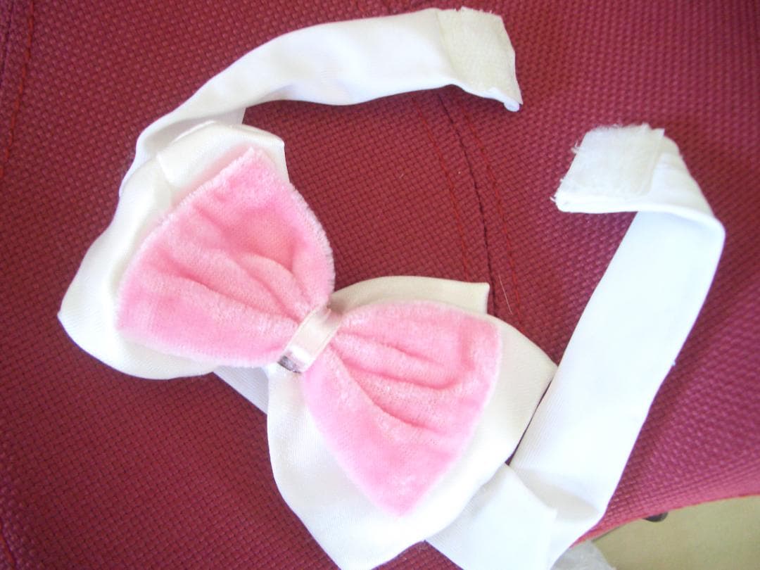 ピンク　バニーガール　衣装　11人分セット　うさ耳・チョーカー・アームバンド付