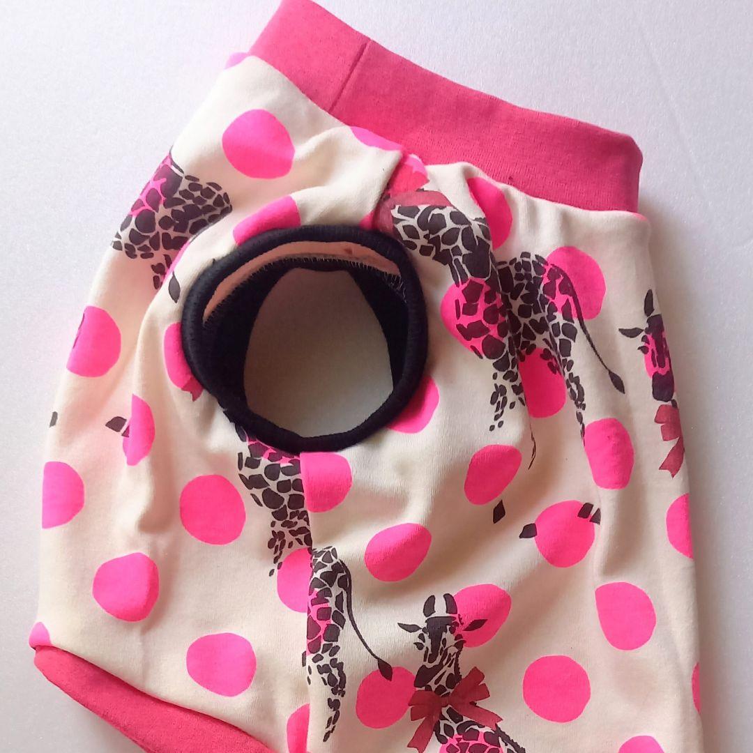 カラフル犬の服