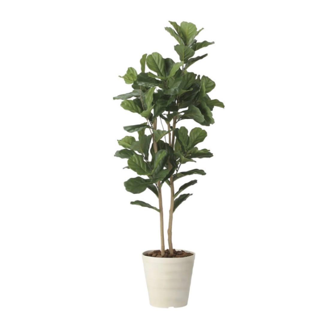 光触媒　人工観葉植物　ウォールグリーン　フェイクグリーン　カシワバゴム1.8