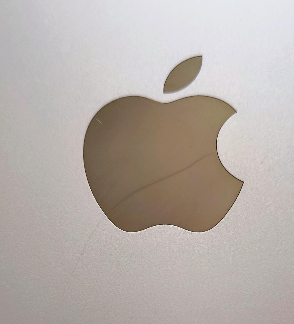 Apple iPad Air2 ゴールド 128GB本体