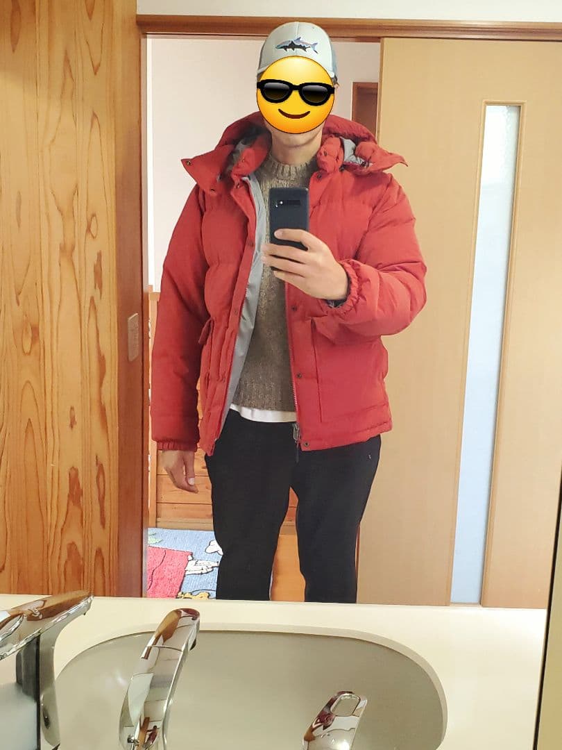 ノースフェイス　ダウンジャケット　キャンプ シエラ ショート サイズL