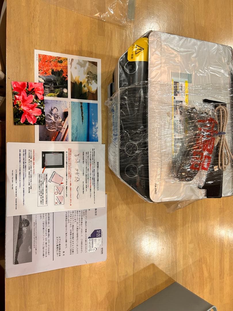 EPSON PM-A920 プリンター・複合機　インク100%