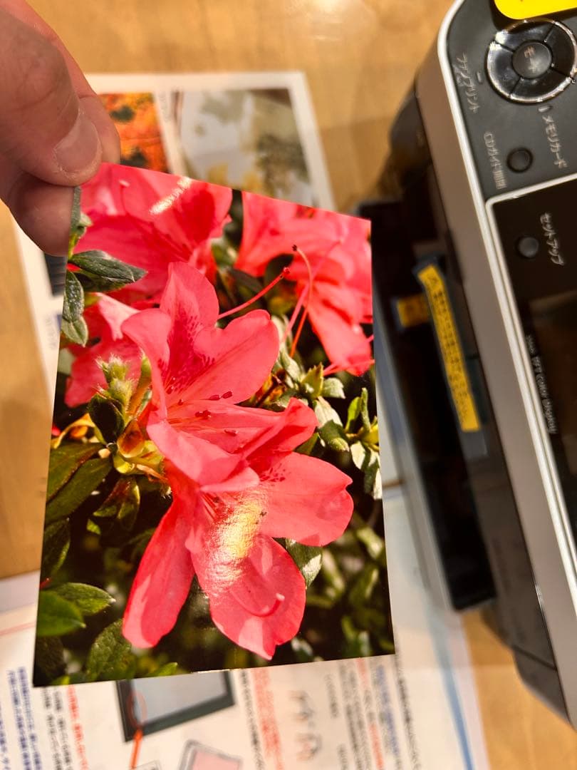 EPSON PM-A920 プリンター・複合機　インク100%