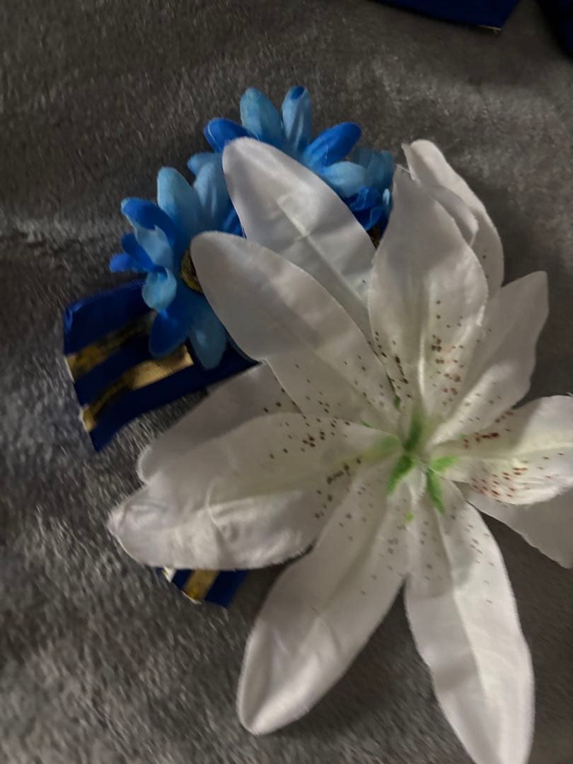 14時迄値下FateGrandOrder(FGO/アーキタイプ.アース/コスプレ