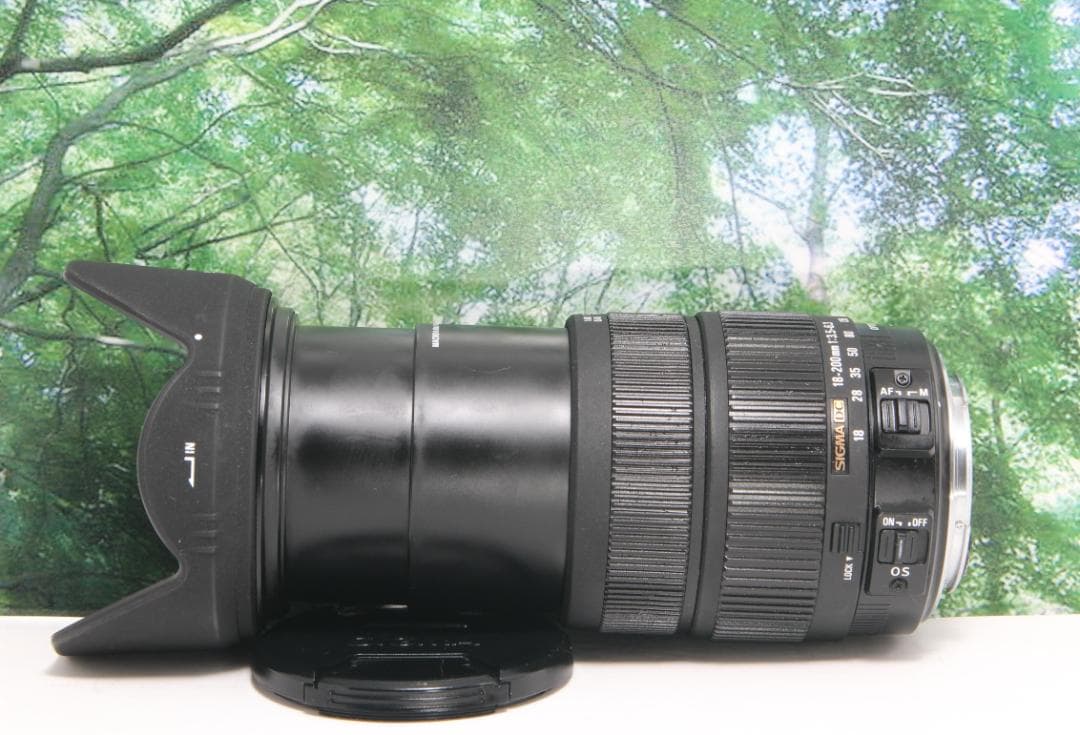 ❤手ぶれ補正する超便利な1本☆シグマ18-200mm OS Φ72 キヤノン用❤