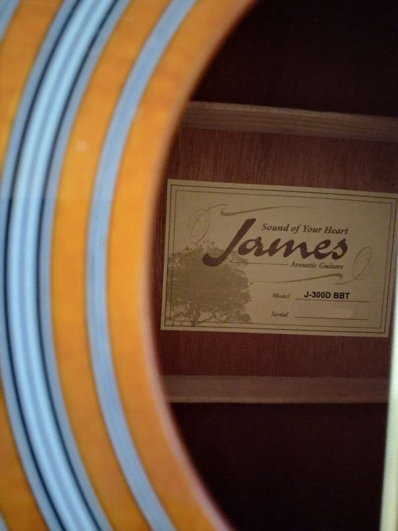 【送料込】【美品】James　ドレッドノート　島村楽器　トップ単板　整備済