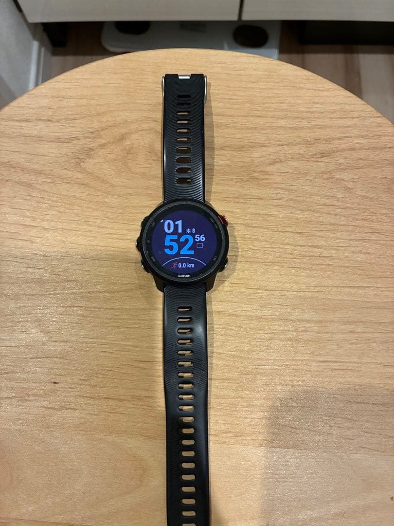 【さはら】GARMIN Foreathlete245music