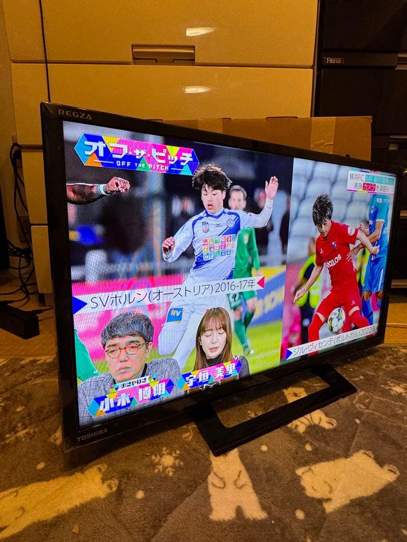 東芝 REGZA 24インチ 液晶テレビ 24S24