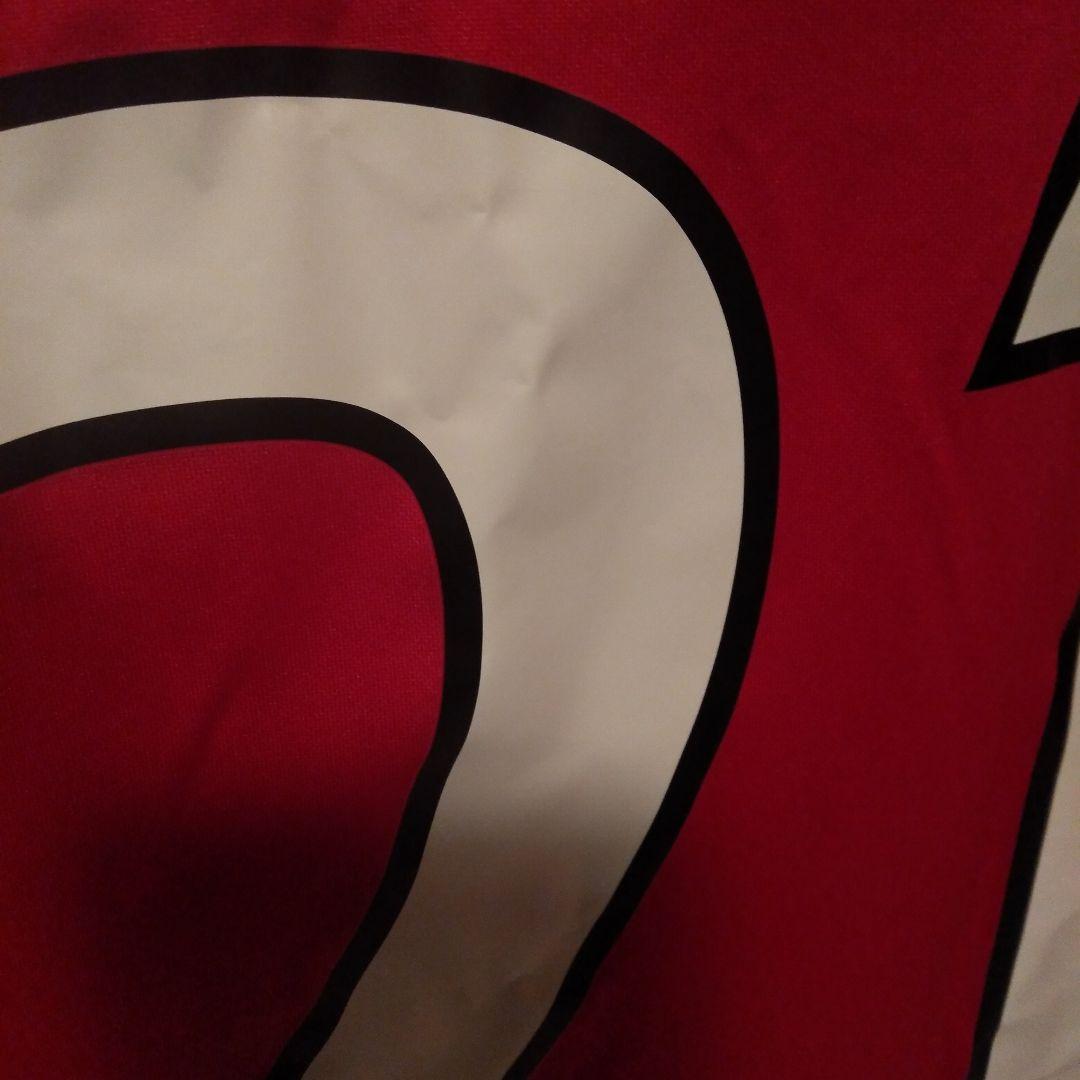 鹿島アントラーズ ユニフォーム 2022ディエゴ ピトゥカサイン入り 11月19