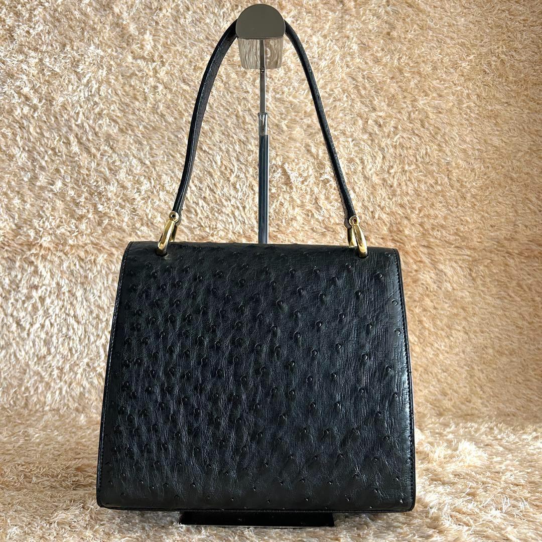 美品✨ セリーヌ オーストリッチ ワンハンドル ショルダーバッグ ブラック