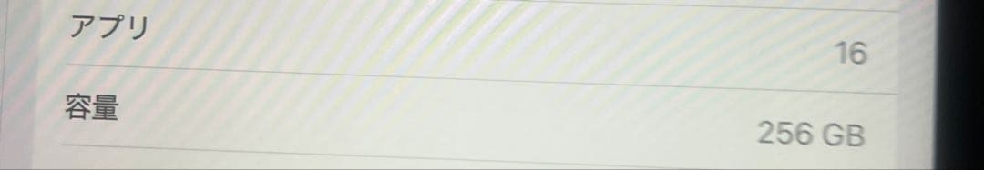 iPad Pro 11インチ 16gb 256GB + Apple Pencil