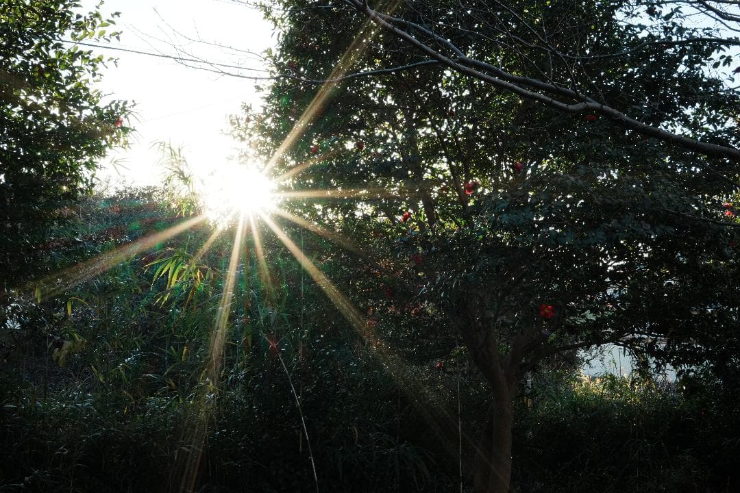 極上Carl Zeiss描写が手軽に SONY SEL35F28ZA