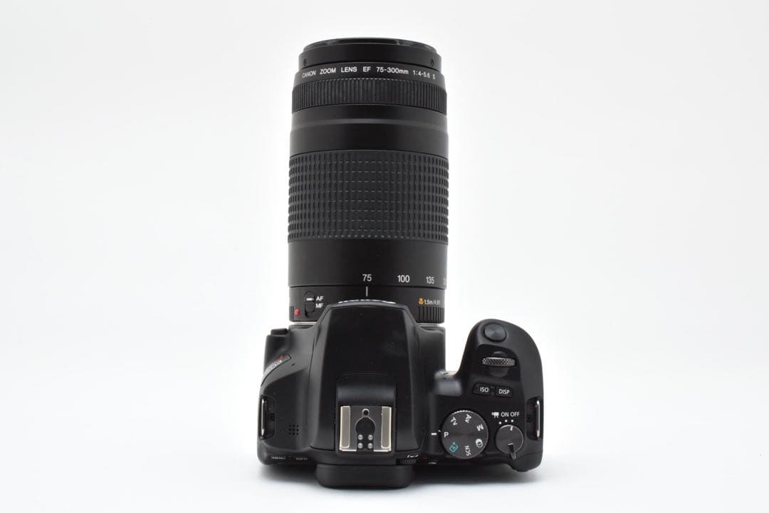 canon kiss x10/CANON EF 75-300㎜ F4-5.6II