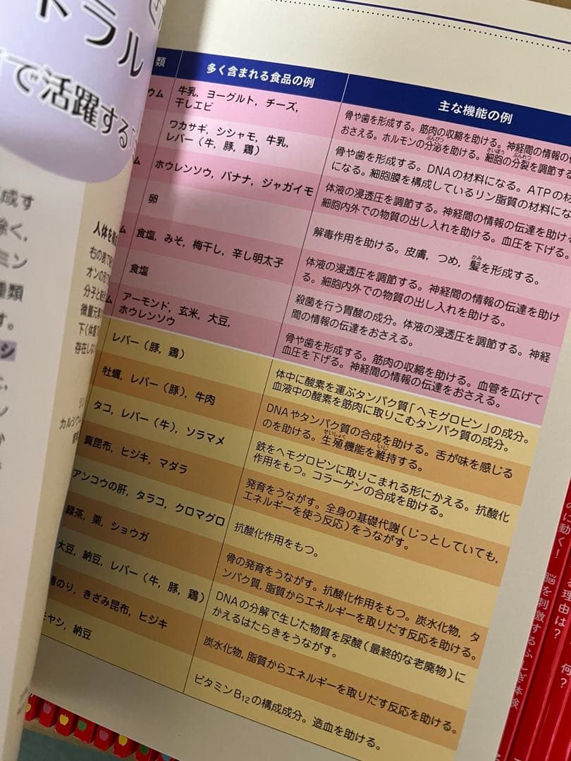 newton ライト　45冊